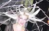 [showicon thumbnail]